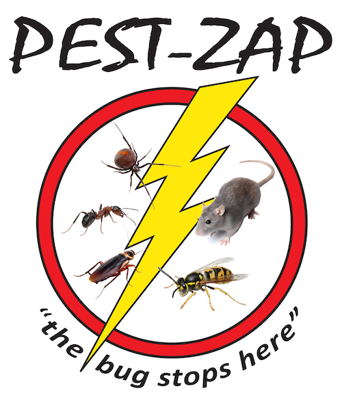 Pest Control in Eltham